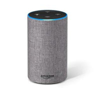 Echo (2nd gen) Grey Fabric